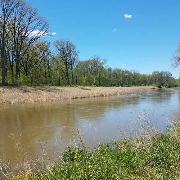riverbank restoration