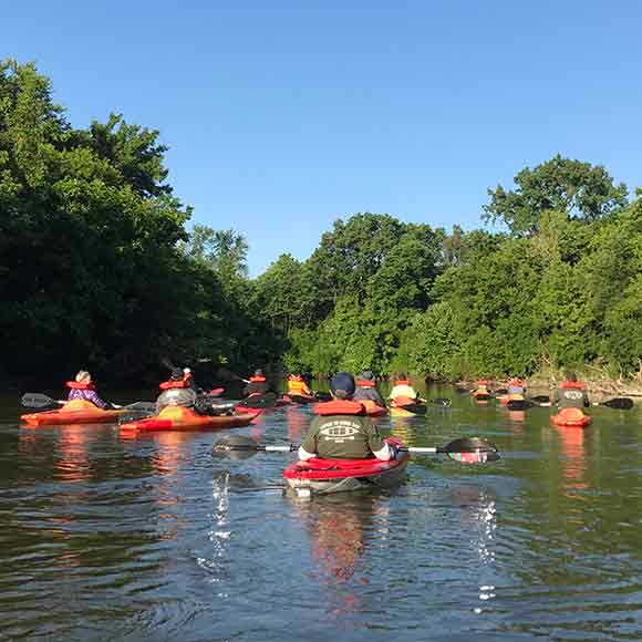 Group canoeing and kayaking on the river on a sunny day