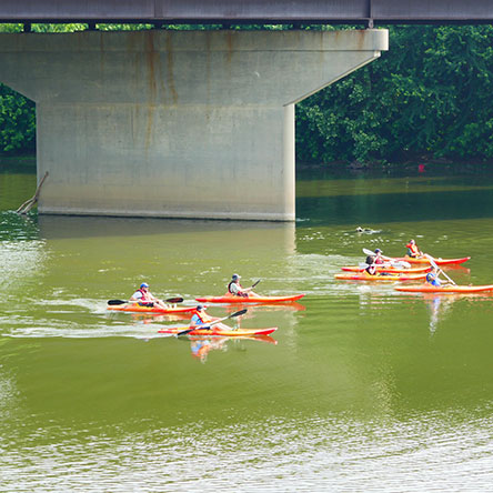 Group kayaking on the river