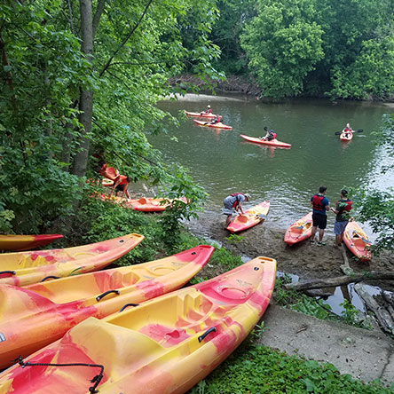 Canoes on shore